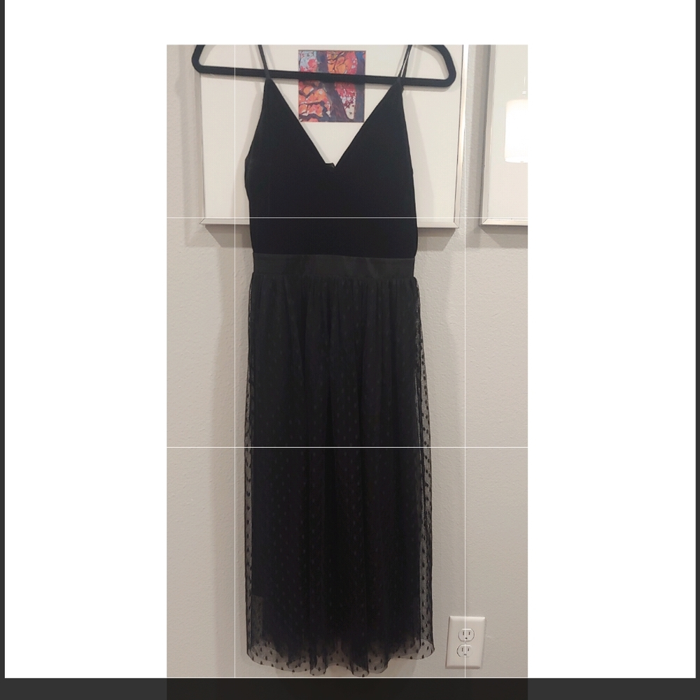 Express tulle Velvet dress